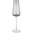 Champagneglas 2 stuks 20 cl