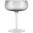 Champagnecoupe 2 stuks 20 cl