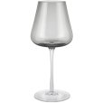 Wittewijnglas 2 stuks 40 cl