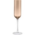 Champagneglas 4 stuks 22 cl