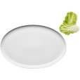 Nova Ovale Coupe Schaal 25x37 cm, Wit