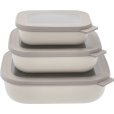 Laag Rechthoekig Vershouddozen 3 stuks