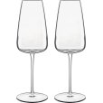 Champagneglas 2 stuks 40 cl