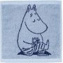 Moemin/Navy