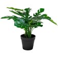 Monstera H45 cm, Groen