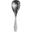 Serveerlepel Groot