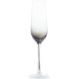 Champagneglas 20 cl