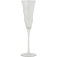 Champagneglas 20 cl