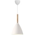 Hanglamp &Oslash;20 cm