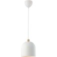 Hanglamp Ø20 cm
