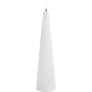 Noordse Witte