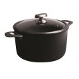 Kookpan met Deksel 6,5 L/26 cm