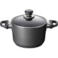 Kookpan met Deksel 3,2 L/20 cm