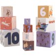 Stapelblokken 10 stuks