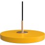 Saffron Yellow/Messing