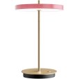 Move Oplaadbare Lamp LED H30,6 cm