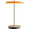 Move Oplaadbare Lamp LED H30,6 cm