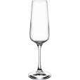 Champagneglas 4 stuks 12 cl