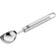 IJsschep 21 cm