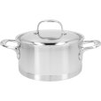 Kookpan met Deksel 20 cm/3 L