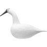 Zwaan