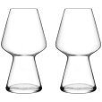 Bierglas Saison 2 stuks 75 cl