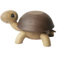 Schildpadjong Speedy 10,5 cm