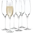 Champagneglas 6 stuks 29 cl