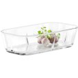 Ovenschaal Small 24x12,5 cm, Transparant